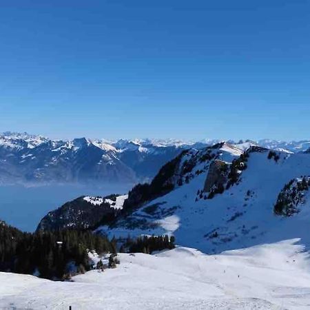 Studio Myrtilles Du Leman Vue Sur Lac Et Montagne Thollon-les-Memises エクステリア 写真