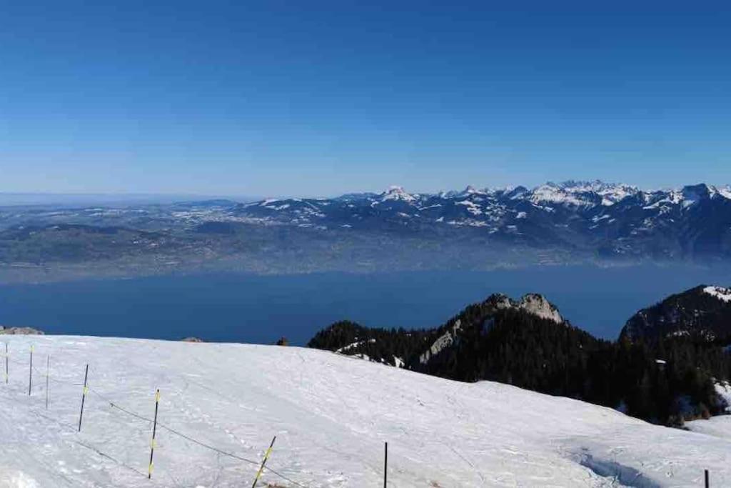 Studio Myrtilles Du Leman Vue Sur Lac Et Montagne Thollon-les-Memises エクステリア 写真