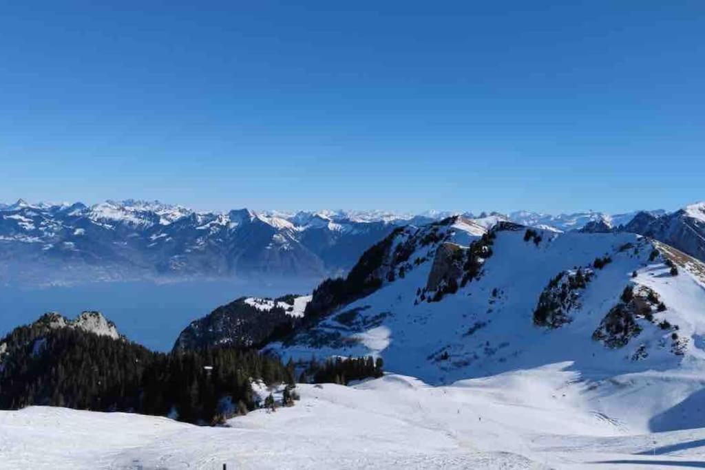 Studio Myrtilles Du Leman Vue Sur Lac Et Montagne Thollon-les-Memises エクステリア 写真