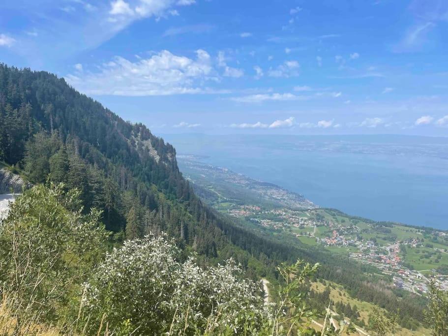 Studio Myrtilles Du Leman Vue Sur Lac Et Montagne Thollon-les-Memises エクステリア 写真